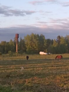 О сельском хозяйстве