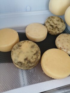 Процесс создания сыра