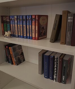Из поэта в аналитика: Сонечка Н. о литературе
