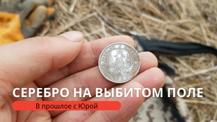 Поиск с металлоискателем