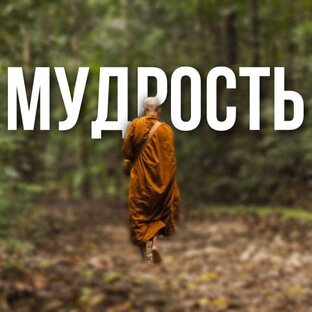 мудрость