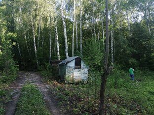 КУПИЛИ ЗАБРОШЕННЫЙ УЧАСТОК В СНТ