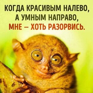 Дело Переговорное 