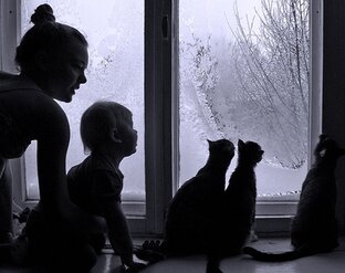 Книга «Моя маленькая тайна»