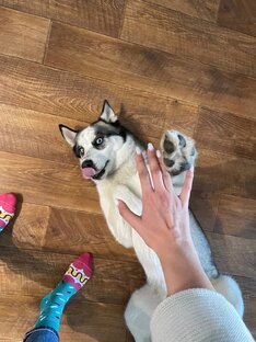 История Дена