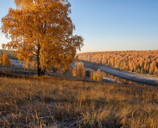 Осенние пейзажи 