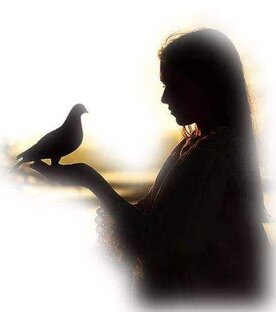 Духовная мудрость