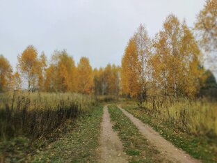 О туризме