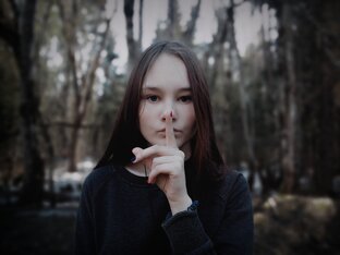 Дневник блогера 