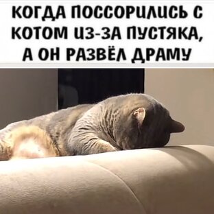 Дневник домового и кота 😻