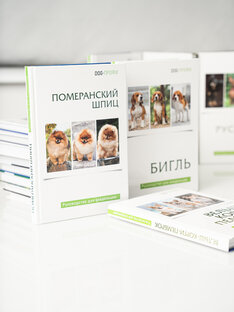 Читай книги проекта