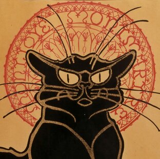 Котики