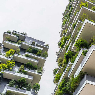 Устойчивость