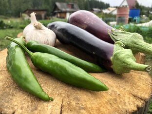 Рецепты баклажанов 