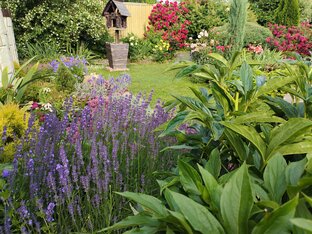 Лето в саду 