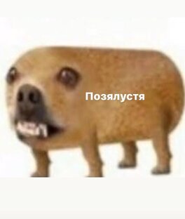 Фан ди плей