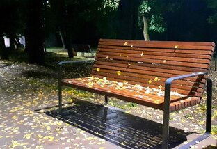 Размышлинизмы