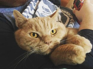 Зарисовки из жизни