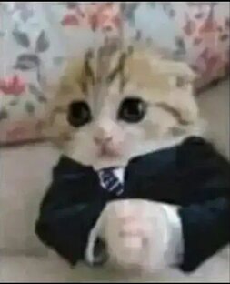 Шутки