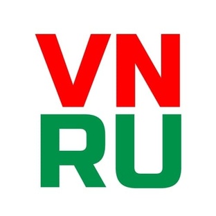 Статистика Дзен VN.RU