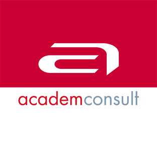 Дзен AcademConsult статистика