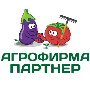 Дзен Семена Партнер статистика