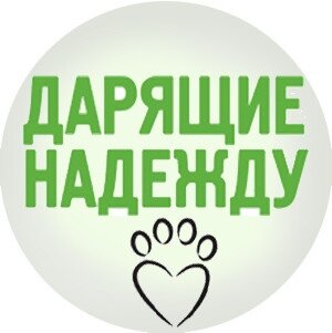 Яндекс дзен Дарящие Надежду статистика