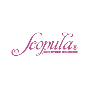 Статистика Дзен Центр обучения Scopula