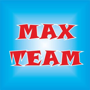 Дзен MAX TEAM статистика