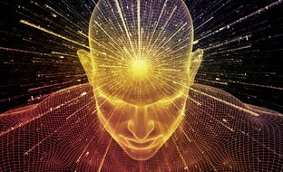 Дзен Неспокойный ум статистика