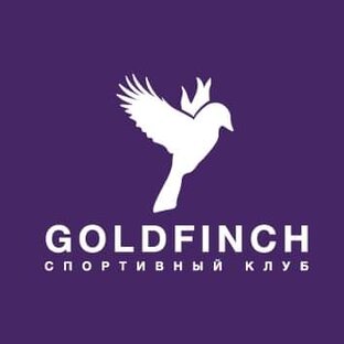 Статистика Дзен GOLDFINCH Club