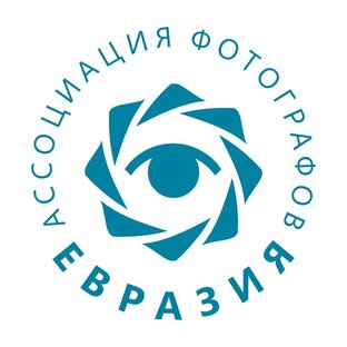 Статистика Дзен Ассоциация фотографов «Евразия»