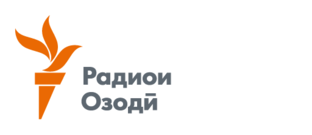 Дзен Радио Озоди статистика