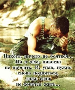 Дзен Андрей Майоров статистика