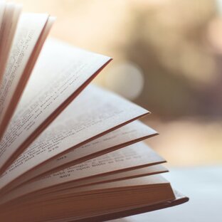 Статистика Дзен САМЫЙ книгоСОК