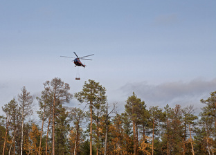 Дзен Мегион архив статистика