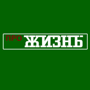 Дзен Мои истории статистика