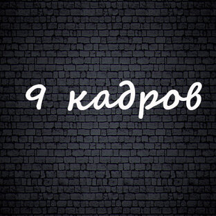 Дзен 9 кадров статистика