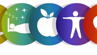 Дзен Звездная Жизнь статистика