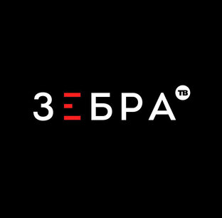 Статистика Дзен Зебра ТВ
