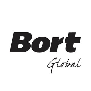 Статистика Дзен Bort Global