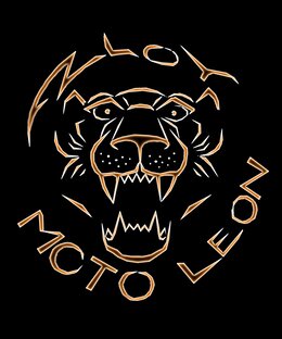 Статистика Дзен Motoleon Сhannel