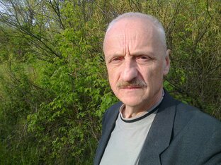 Статистика Дзен Д. С. Гавриленко
