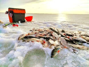 Статистика Дзен Рыбалка 47 регион .