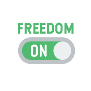 Включи не свобода. Свободпэто определение. Смешные фразы про свободу. Смешные фразы про свободу. Свобода демотиваторы.