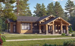 Статистика Дзен North Forest