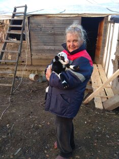 Дзен Елена Аносова статистика