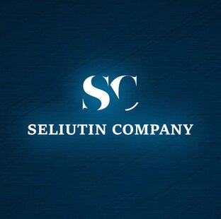 Дзен Seliutin Company статистика