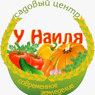 Статистика Дзен Современное земледелие 