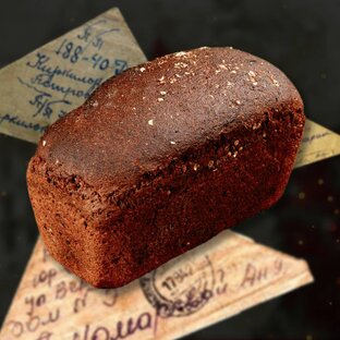 Дзен Дмитрий Шигапов статистика